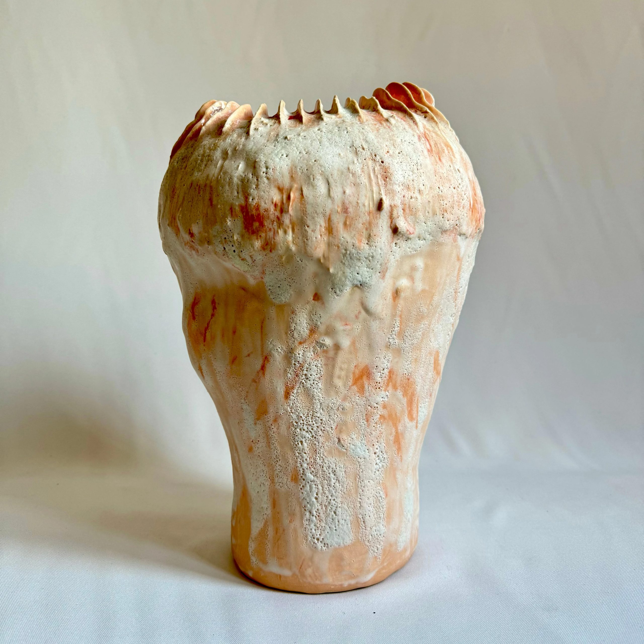 Coprinus Conchatus Magna