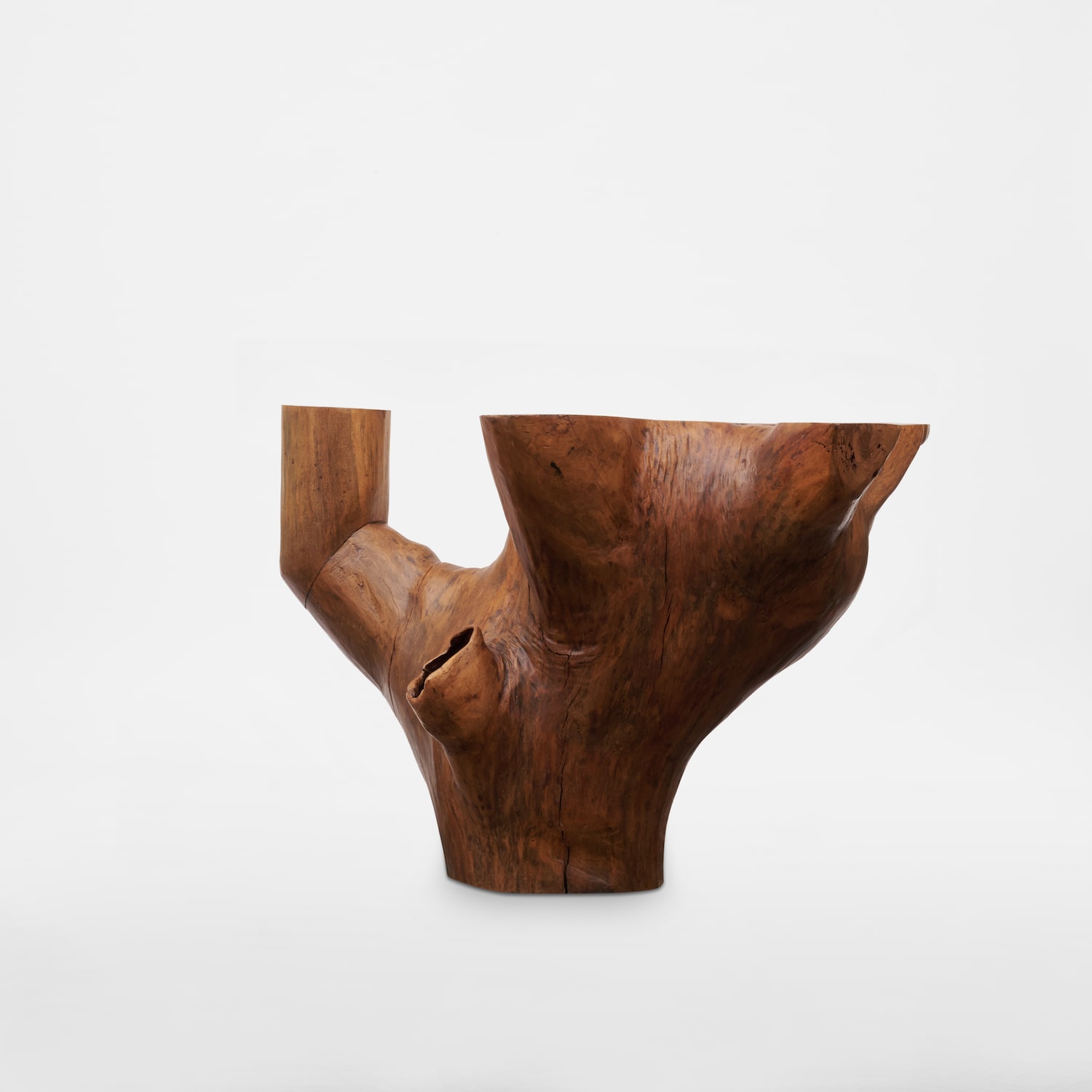 An Exceptional Denuncia Table - 6