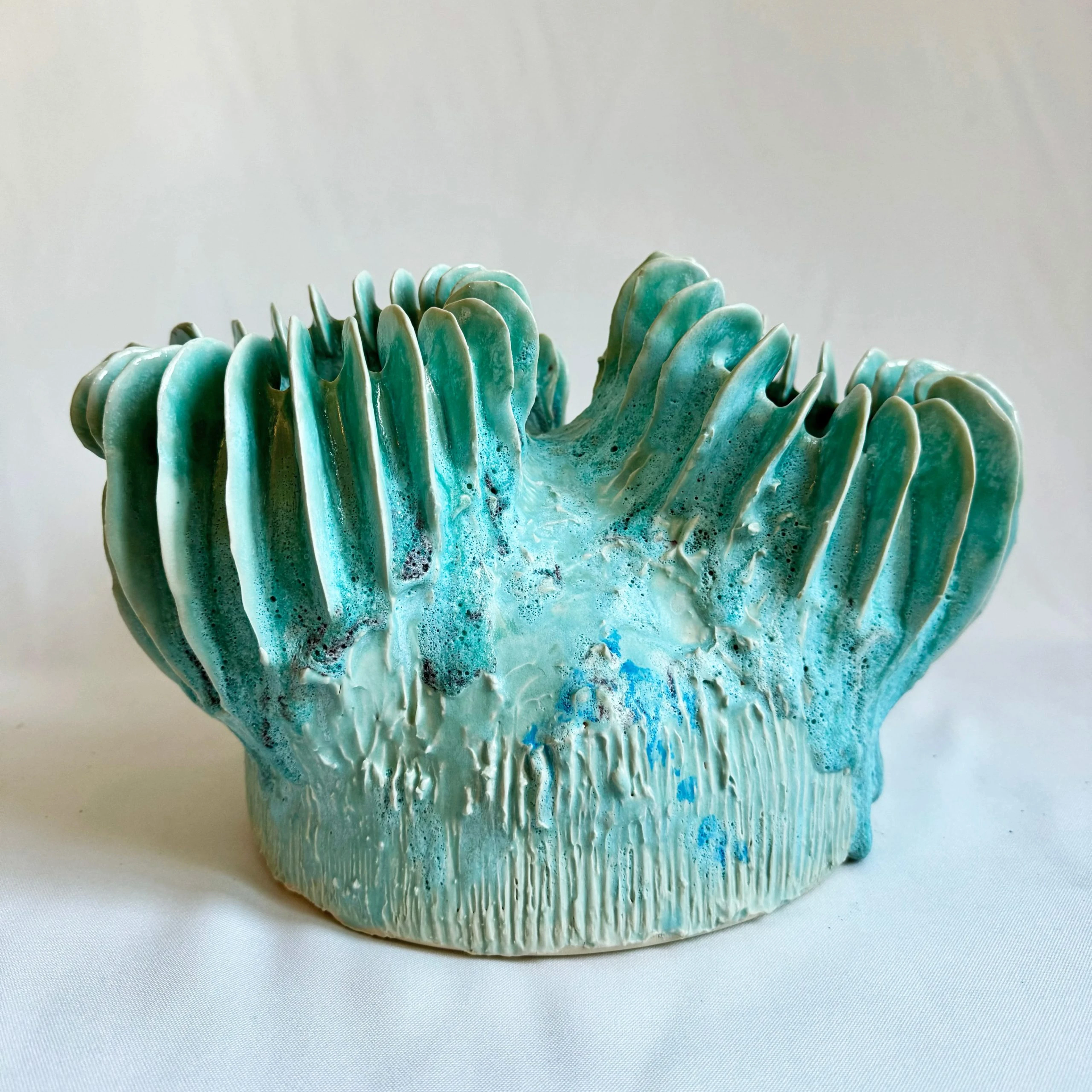 Polyporus Aeris Maxi