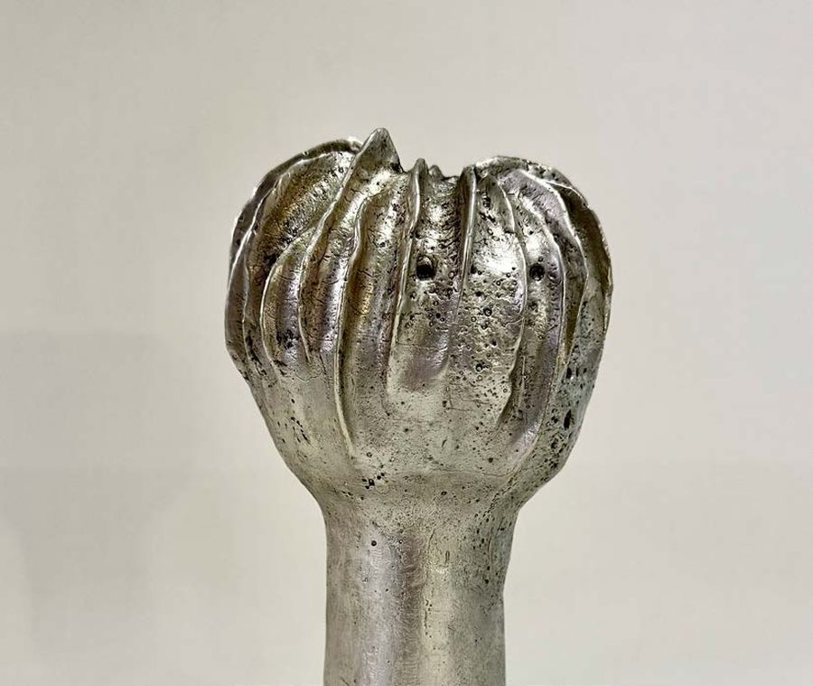 'Boletus Argentum Mini' Cast Bronze