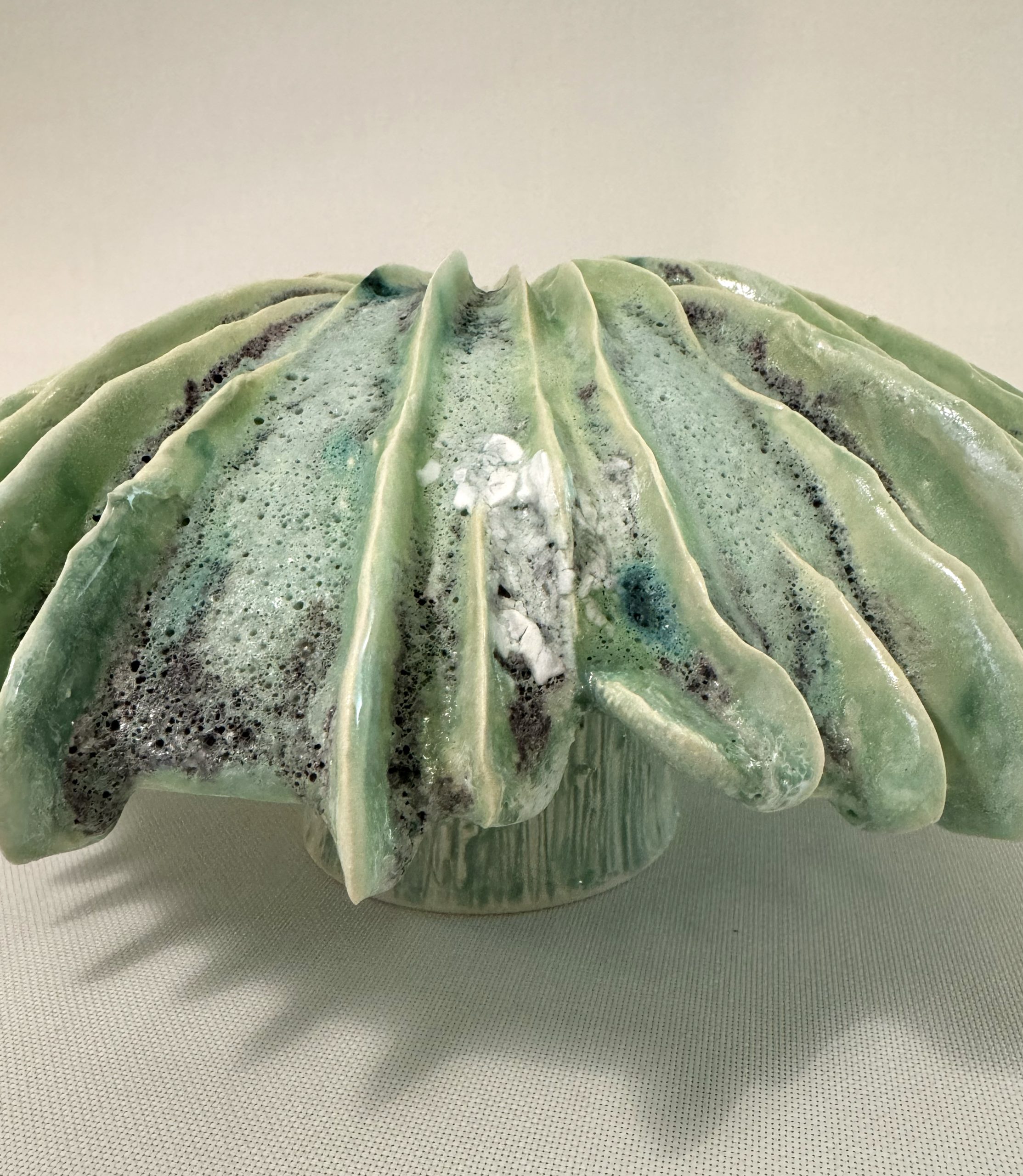 Pileus Viridis Magna - 5