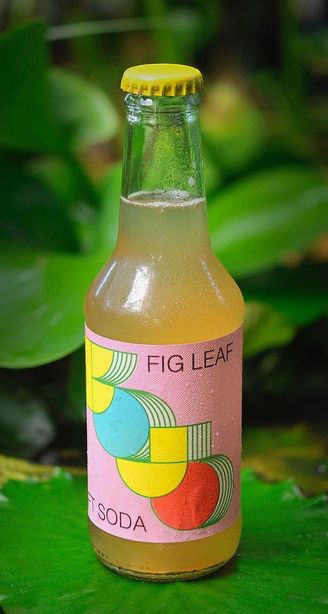 Glass bottle of “Fig Leaf” soda on a green lily pad, with colorful geometric label and lush leaves in the blurred background.