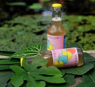 Two fig leaf soda bottles with colorful labels rest on large green leaves by a pond.