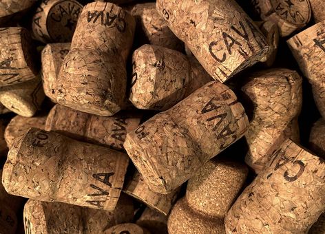 kruk versus schroefdop