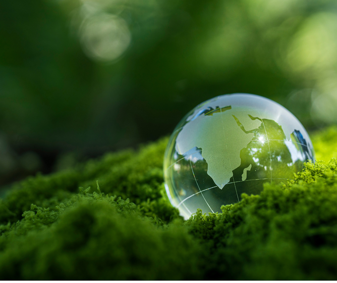 Transparent glass globe resting on lush green moss, symbolizing nature, ecology, and environmental conservation.
