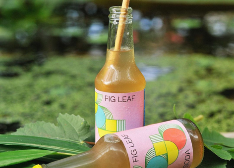 BOJO Craft Soda 1