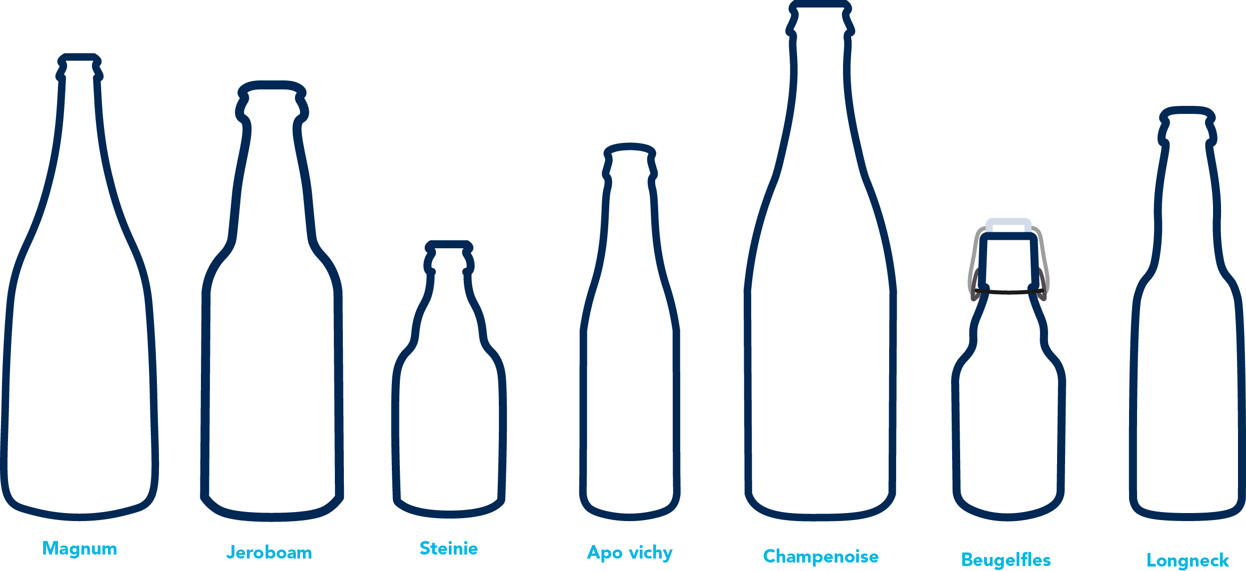 Verschillende soorten bierflessen naast elkaar