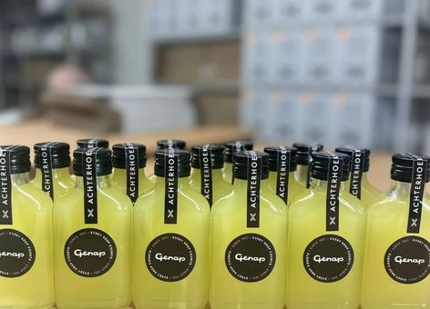 achterhoekse limoncello