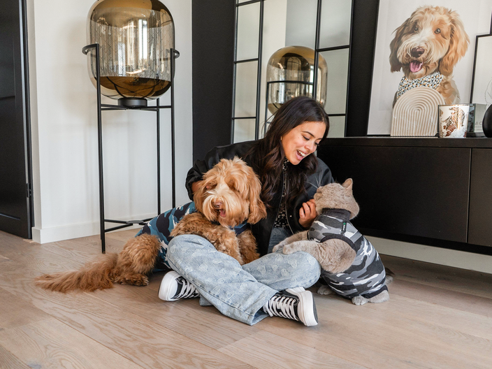 suitical-recovery-suit-camoblue-labradoodle-cat