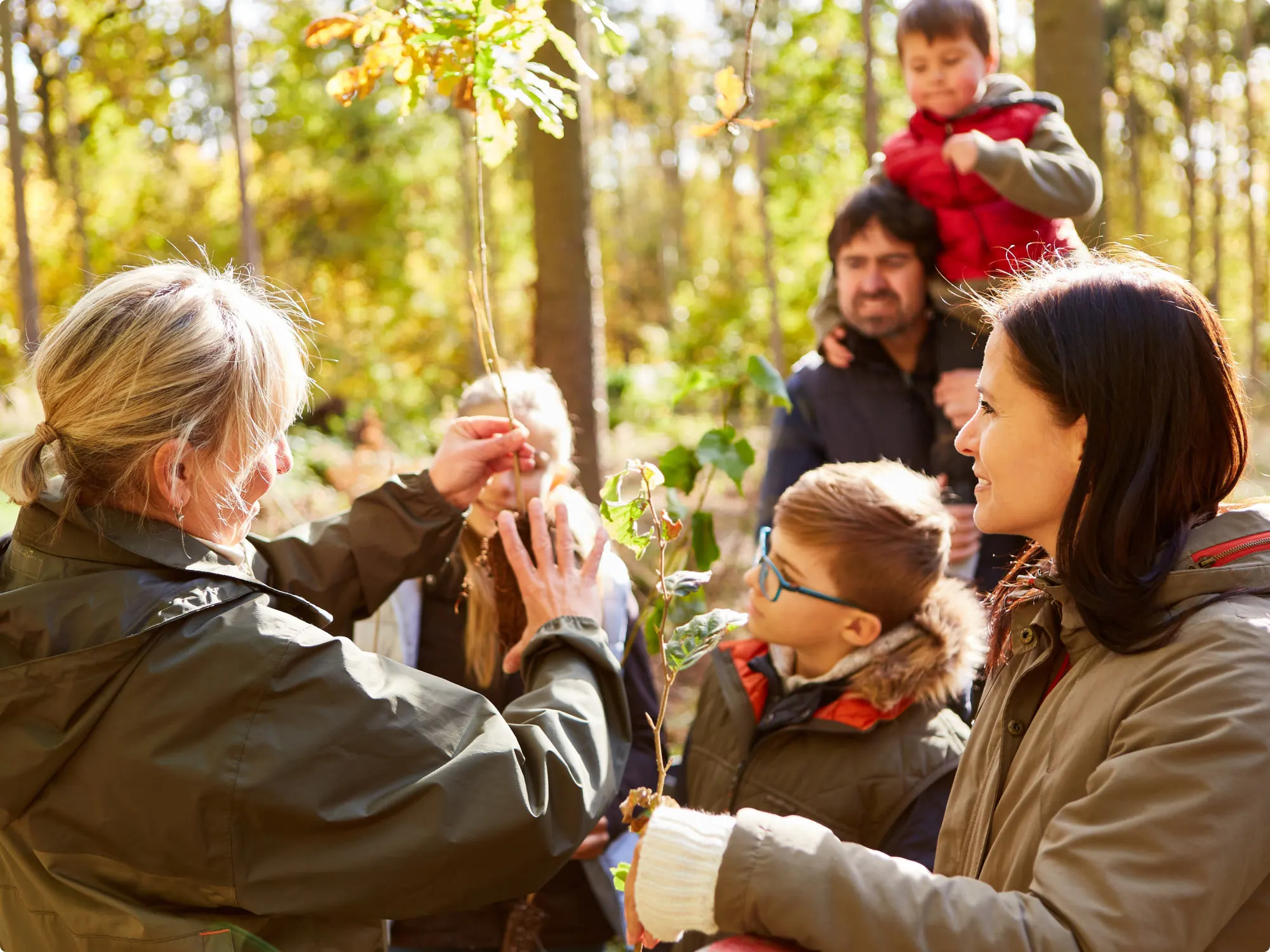 Eine Gruppe von Menschen, darunter auch Kinder, untersucht einen kleinen Baum in einem sonnigen Wald und nimmt an einer lehrreichen Aktivität im Freien teil.
