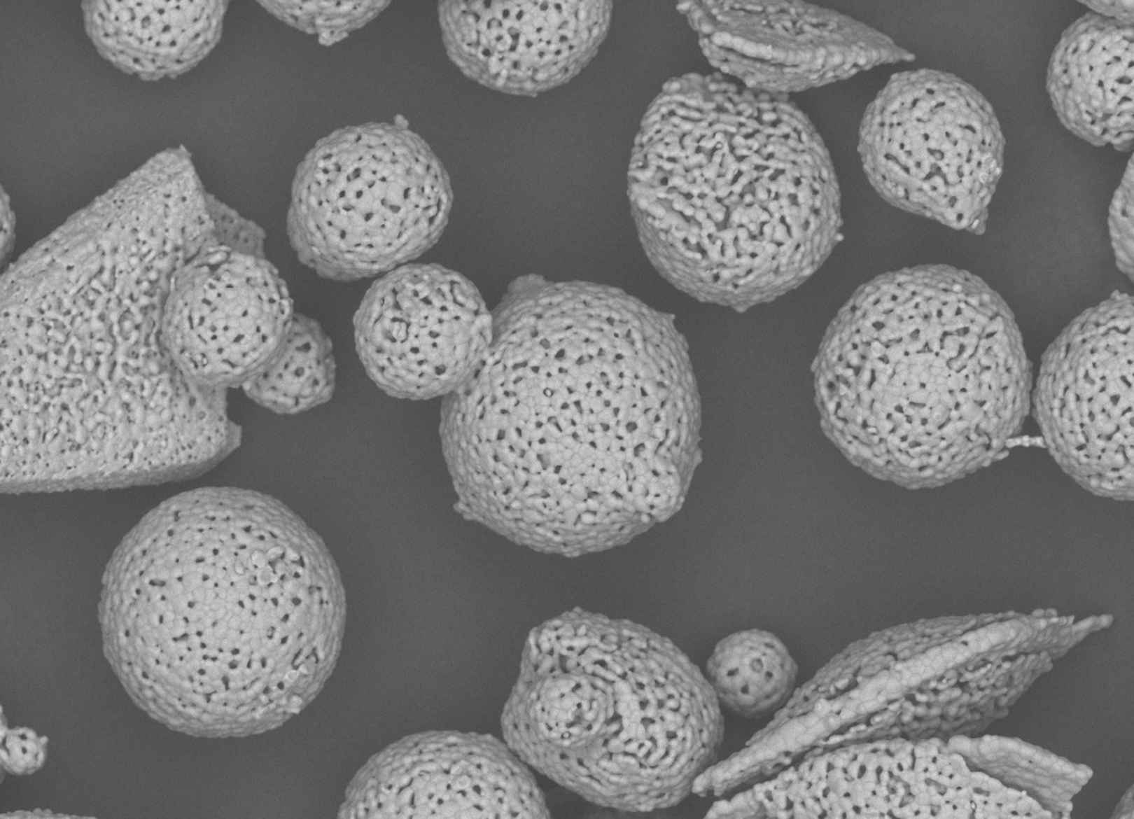 β-TCP Compound Powder