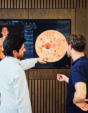Two men analyzing a large screen displaying a medical image and data, with one pointing at the screen, in a modern office setting executing remote digital skin cancer screenings.
