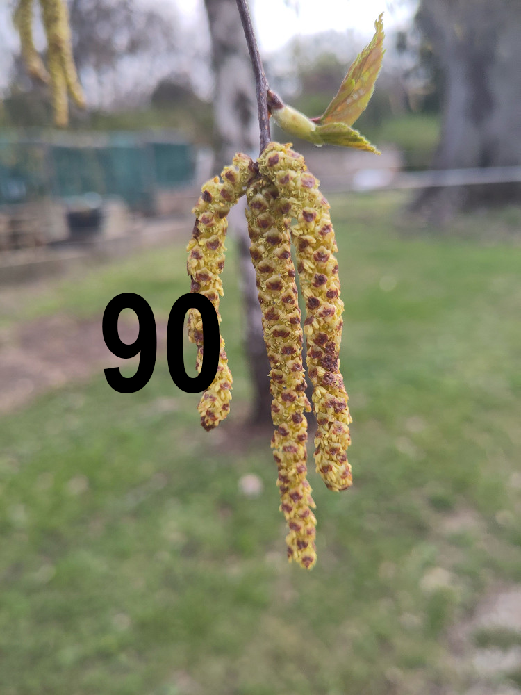 Aktuelle Zahl 90 (c) ÖPID Johannes M. Bouchal