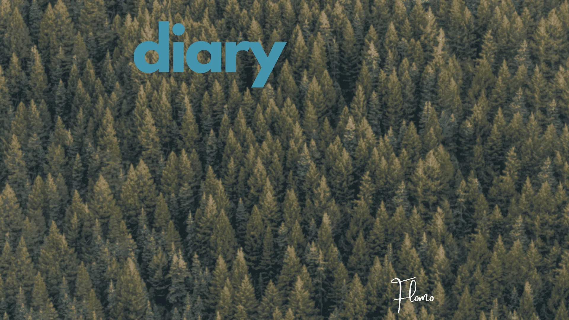 Flomo – Diary (Musikvideo) Project image (decorative) || Project image