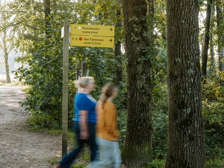 Gallerij afbeelding