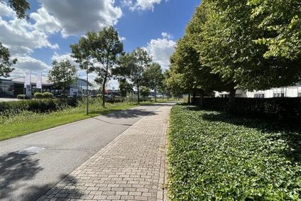 Bericht afbeelding