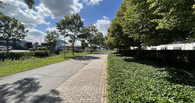 Bericht afbeelding