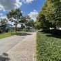 Bericht afbeelding