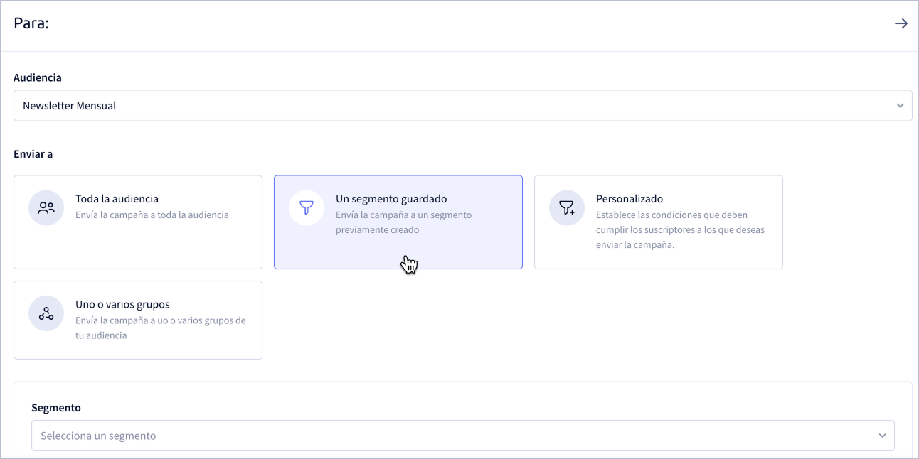 Selección de segmento para campaña en plataforma de segmentación email marketing