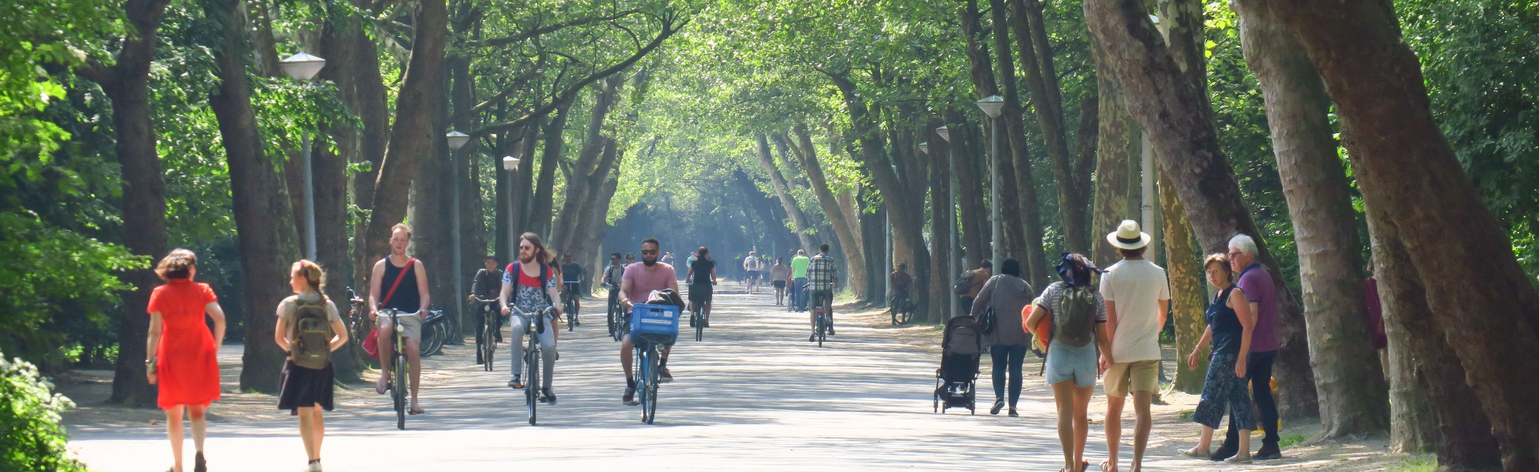 Foto van een fietspad door het Vondelpark in Amsterdam met wandelende en fietsende mensen in de zomer