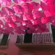 pink umbrellas over a street in puerto rico