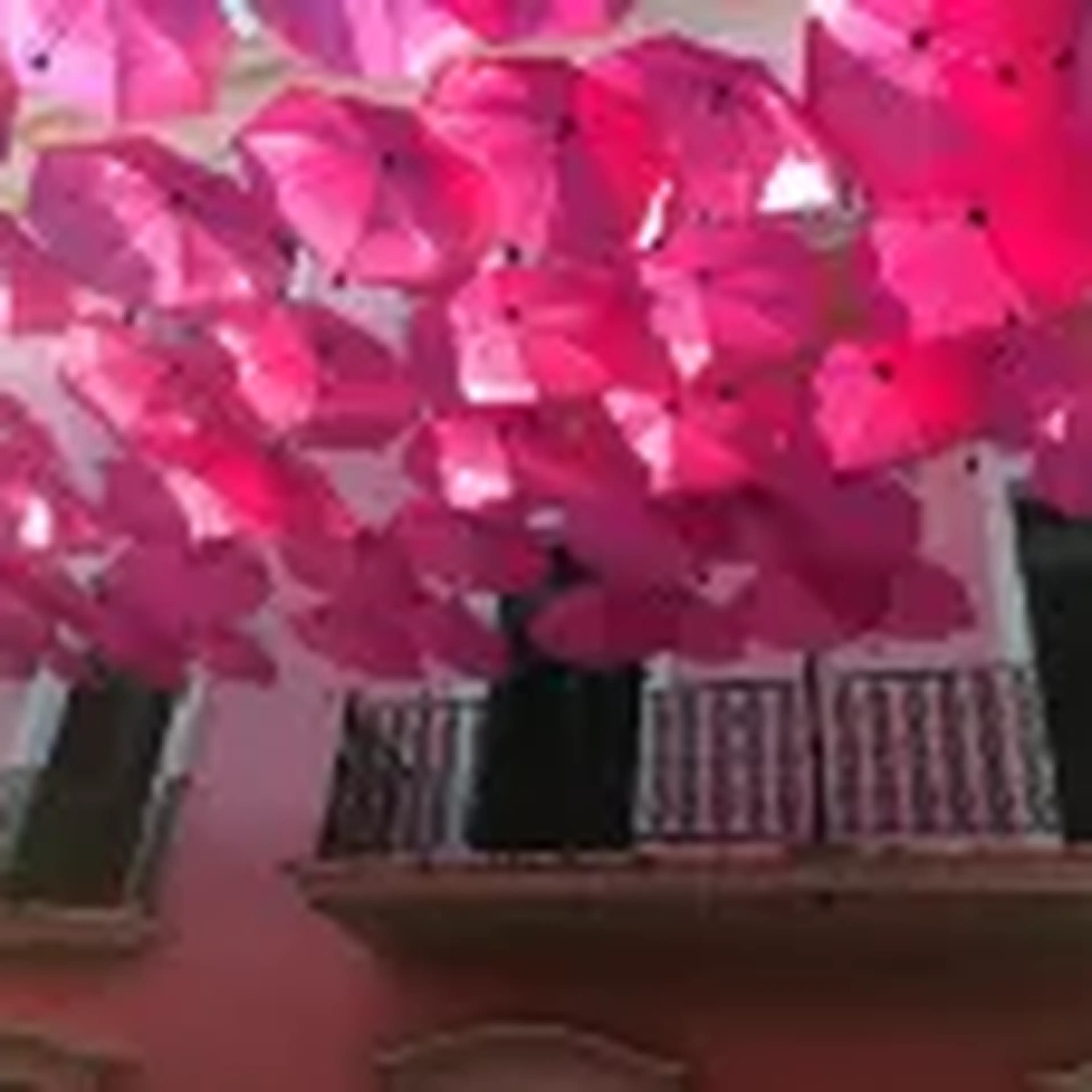 pink umbrellas over a street in puerto rico