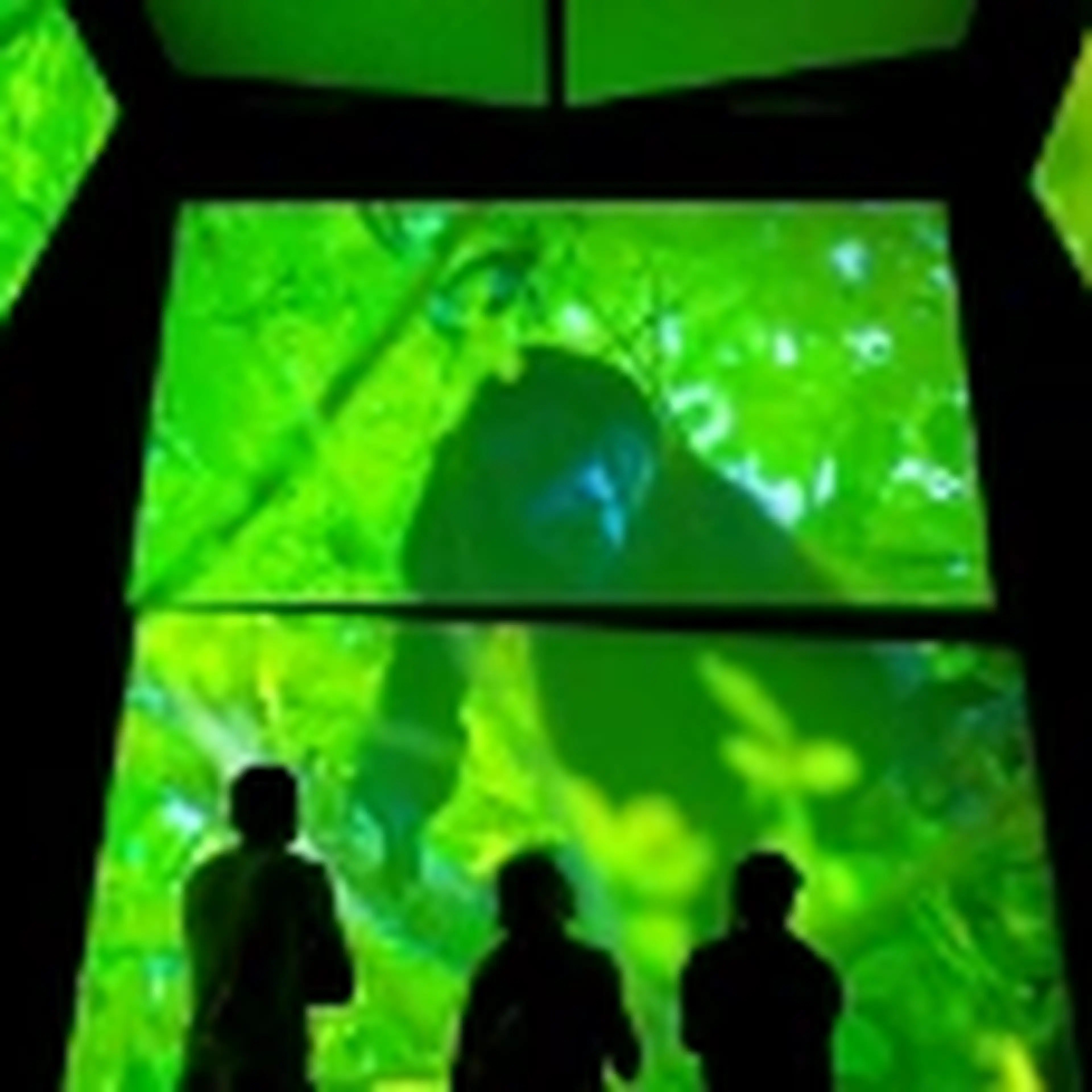 science exhibit in a museum