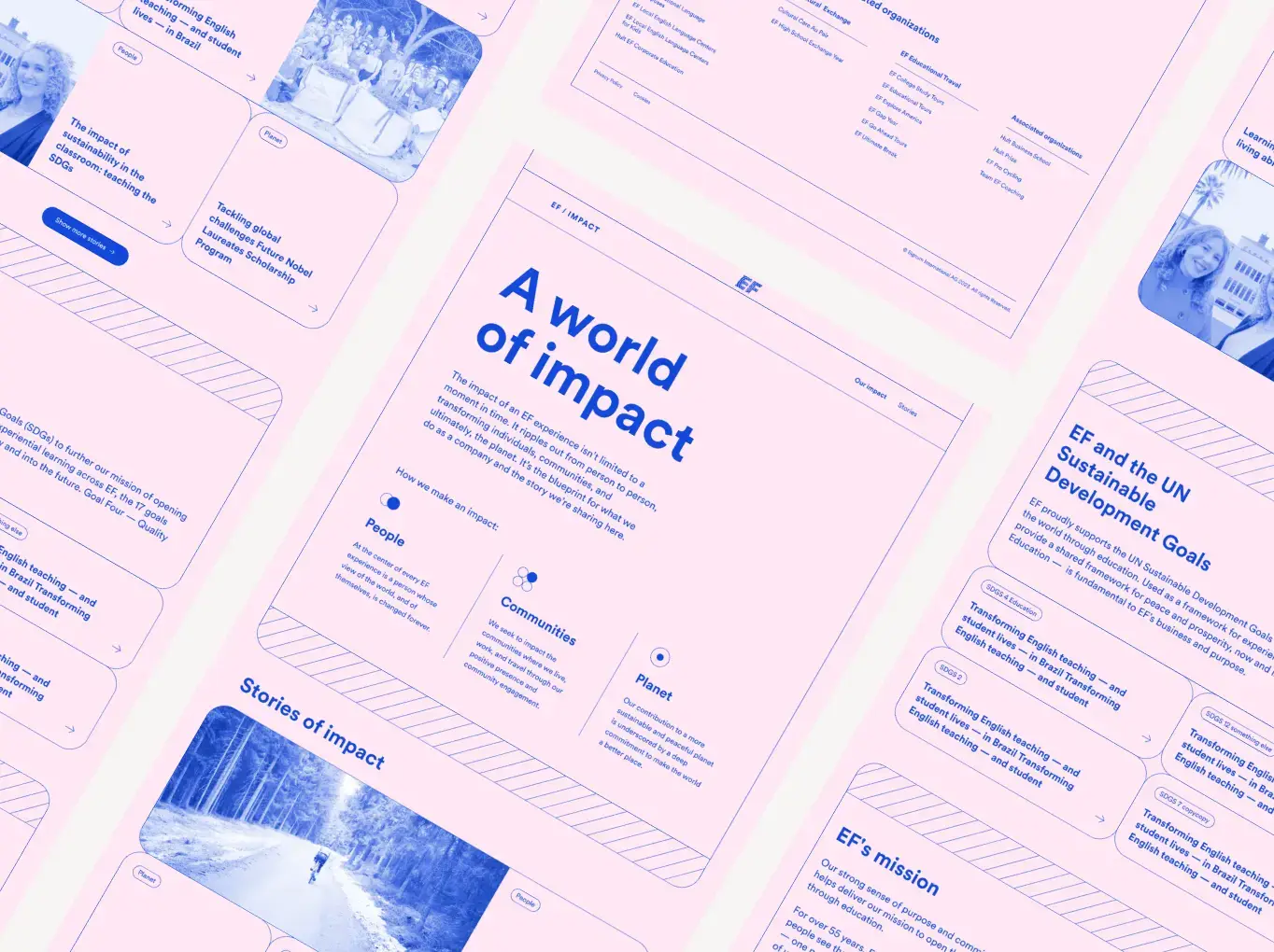 Impact report image