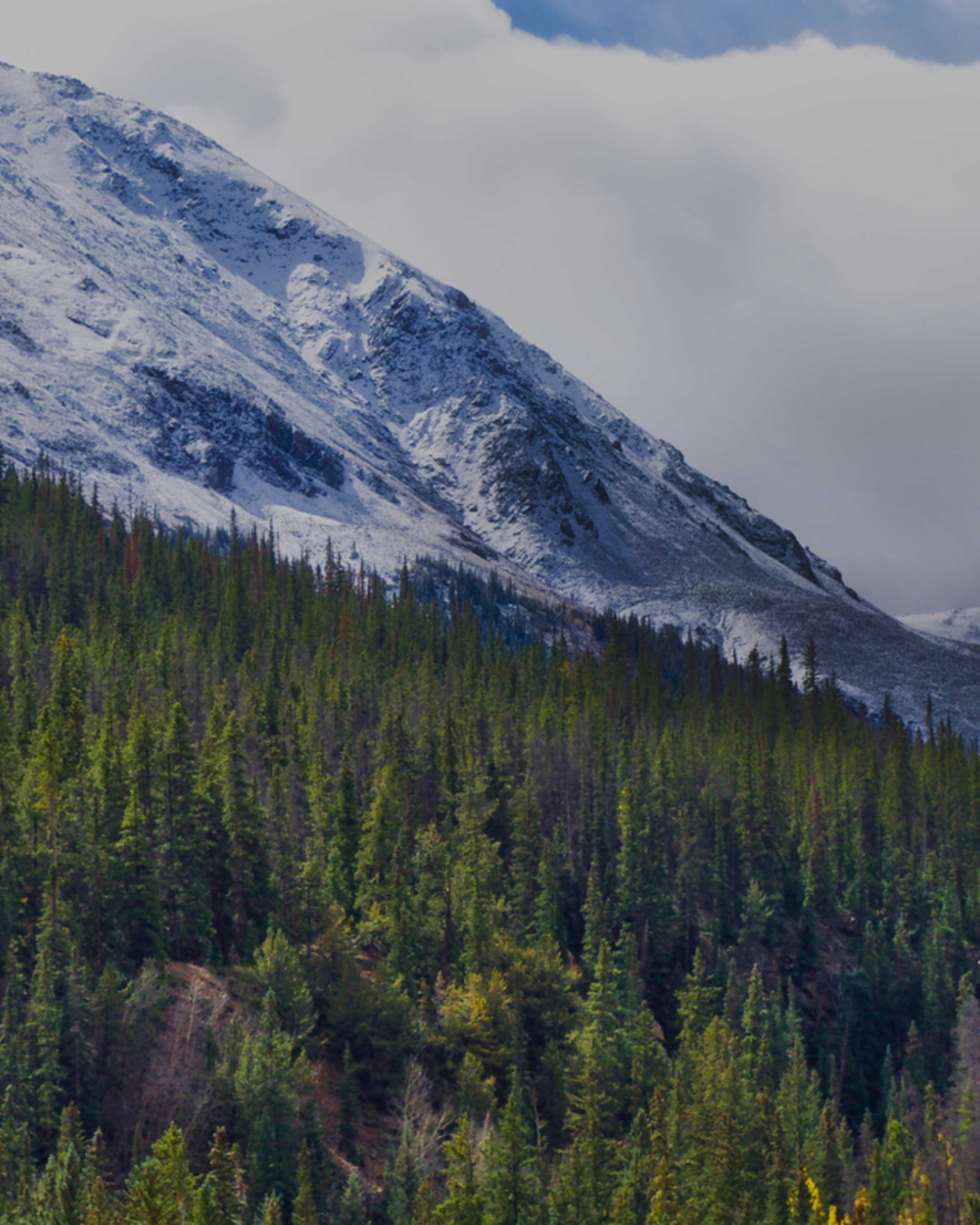 Colorado tours