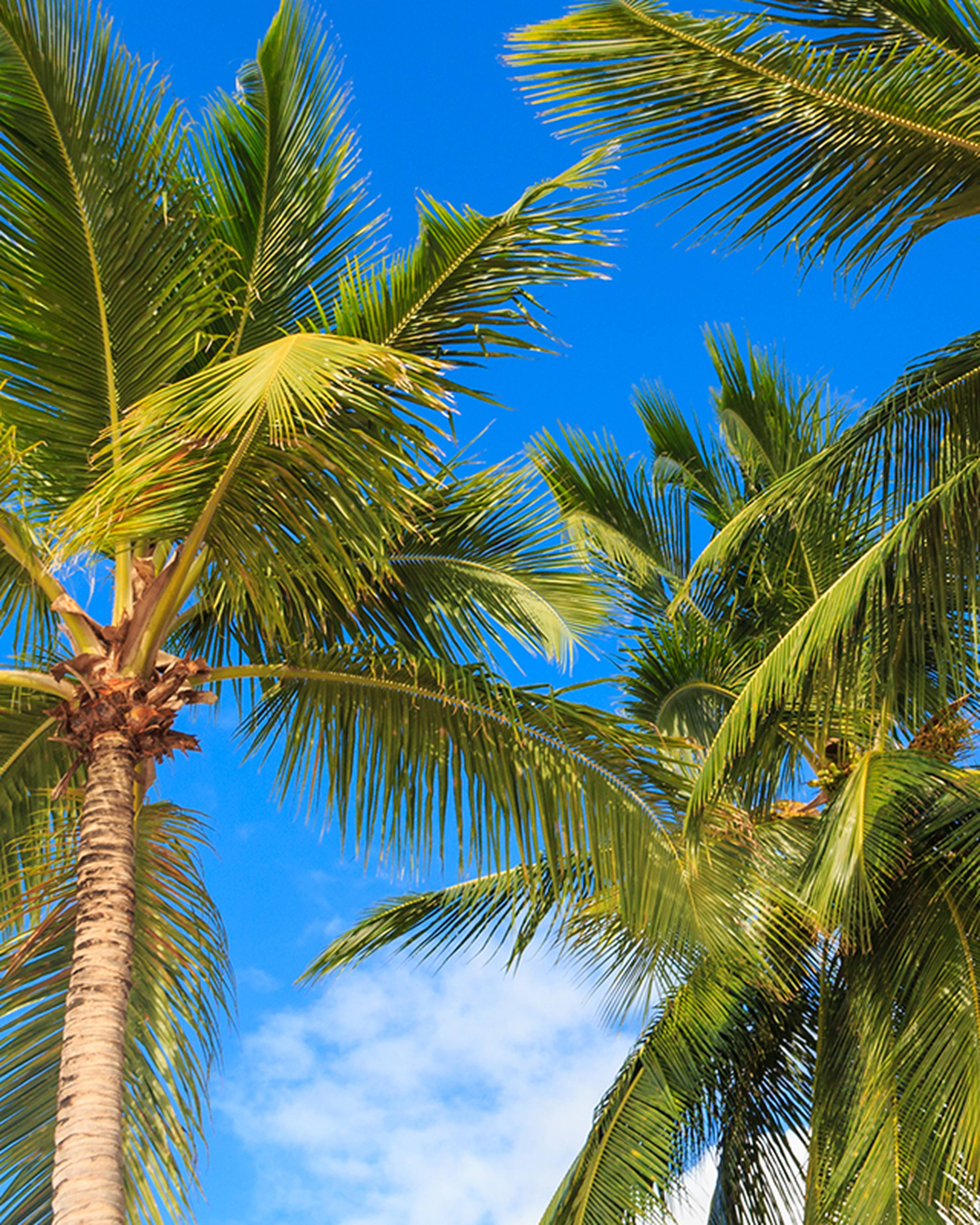 Florida tours