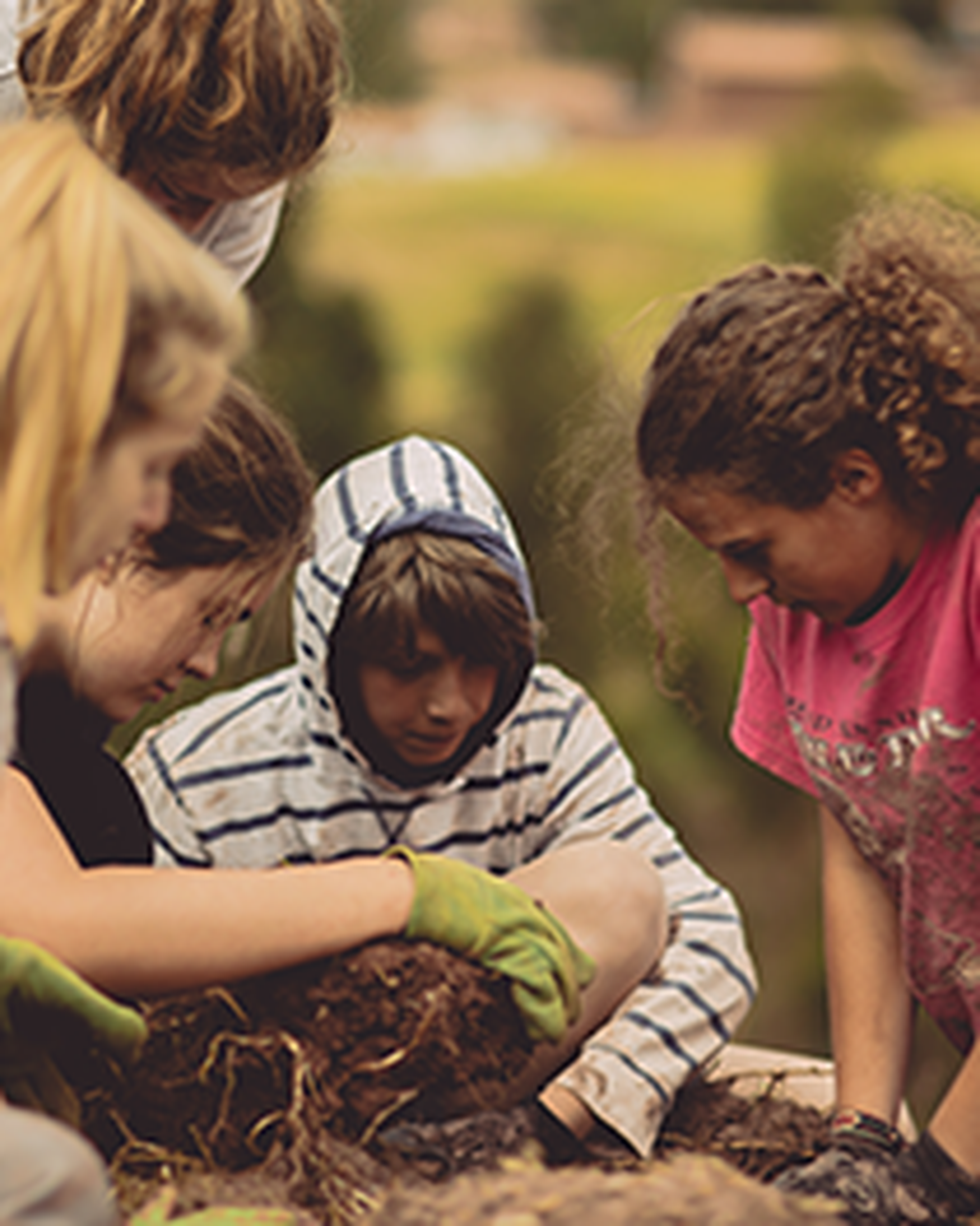 service learning tour project