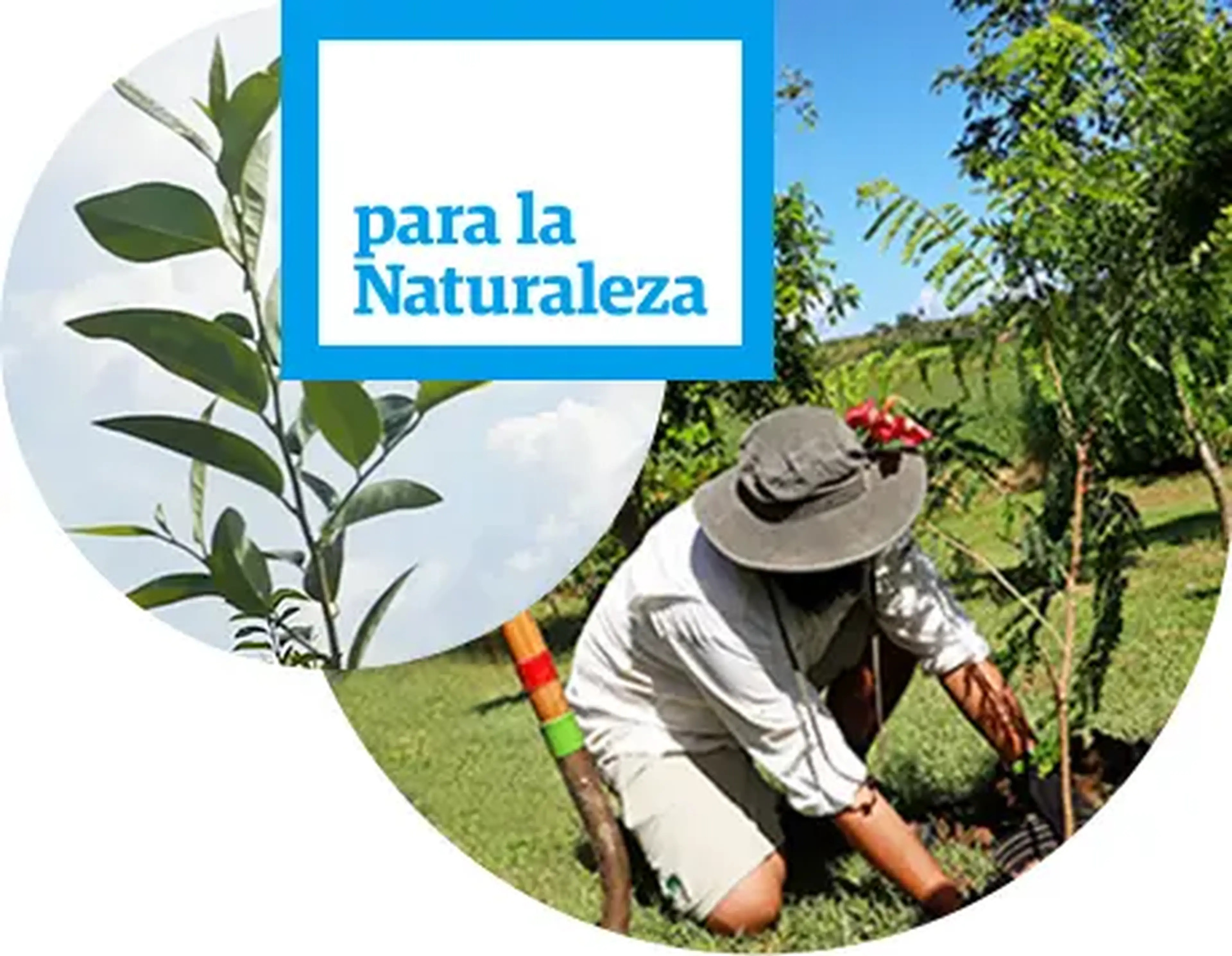para la naturaleza puerto rico