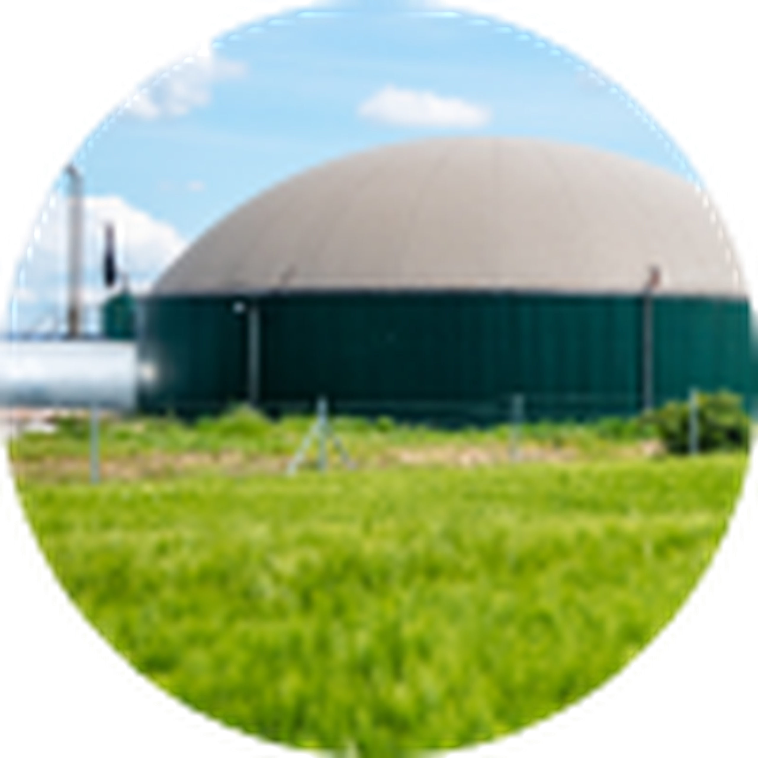 Two large green biogas domes in a grassy field under a blue sky with clouds.
