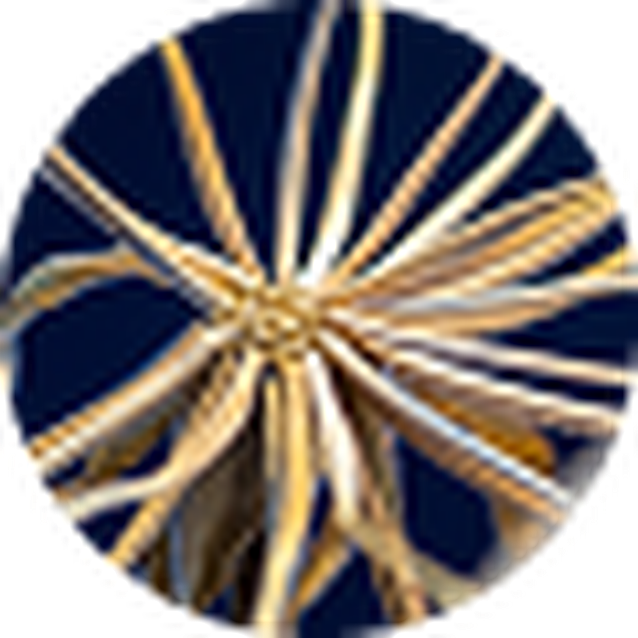 A round crop of the center of dandelion