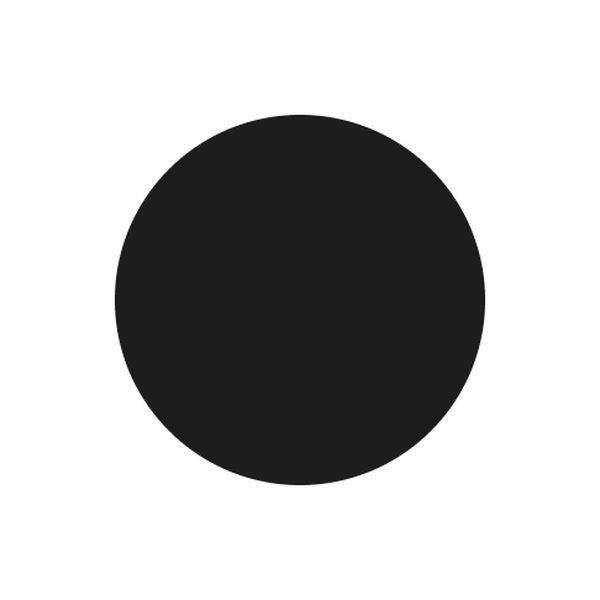 A solid black circle centered on a white background.