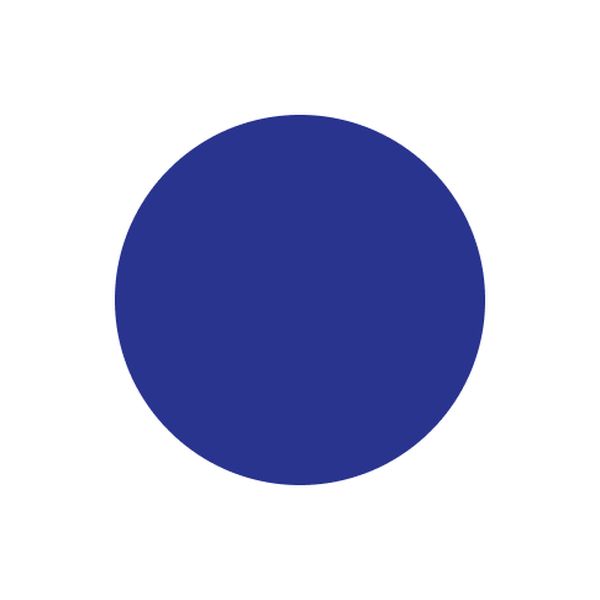 A solid dark blue circle centered on a white background.