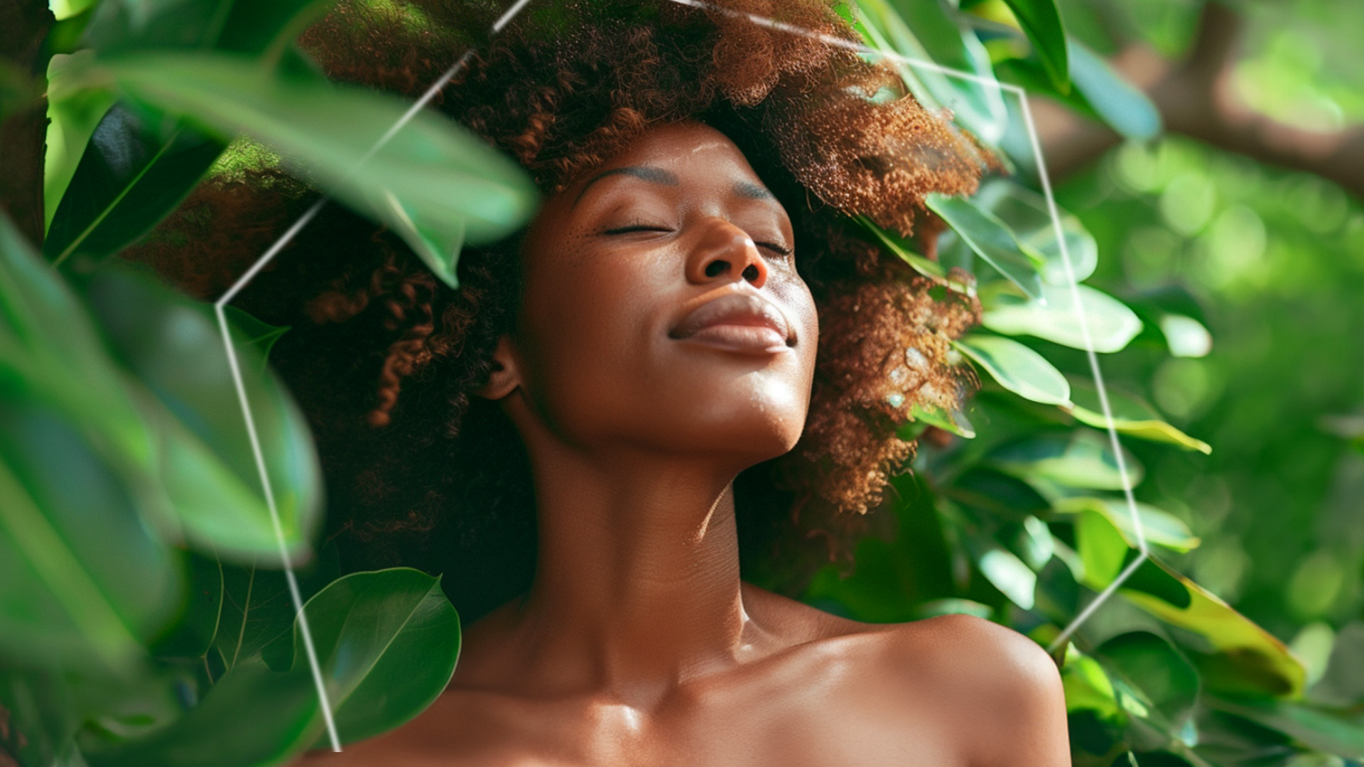 Body and wellness