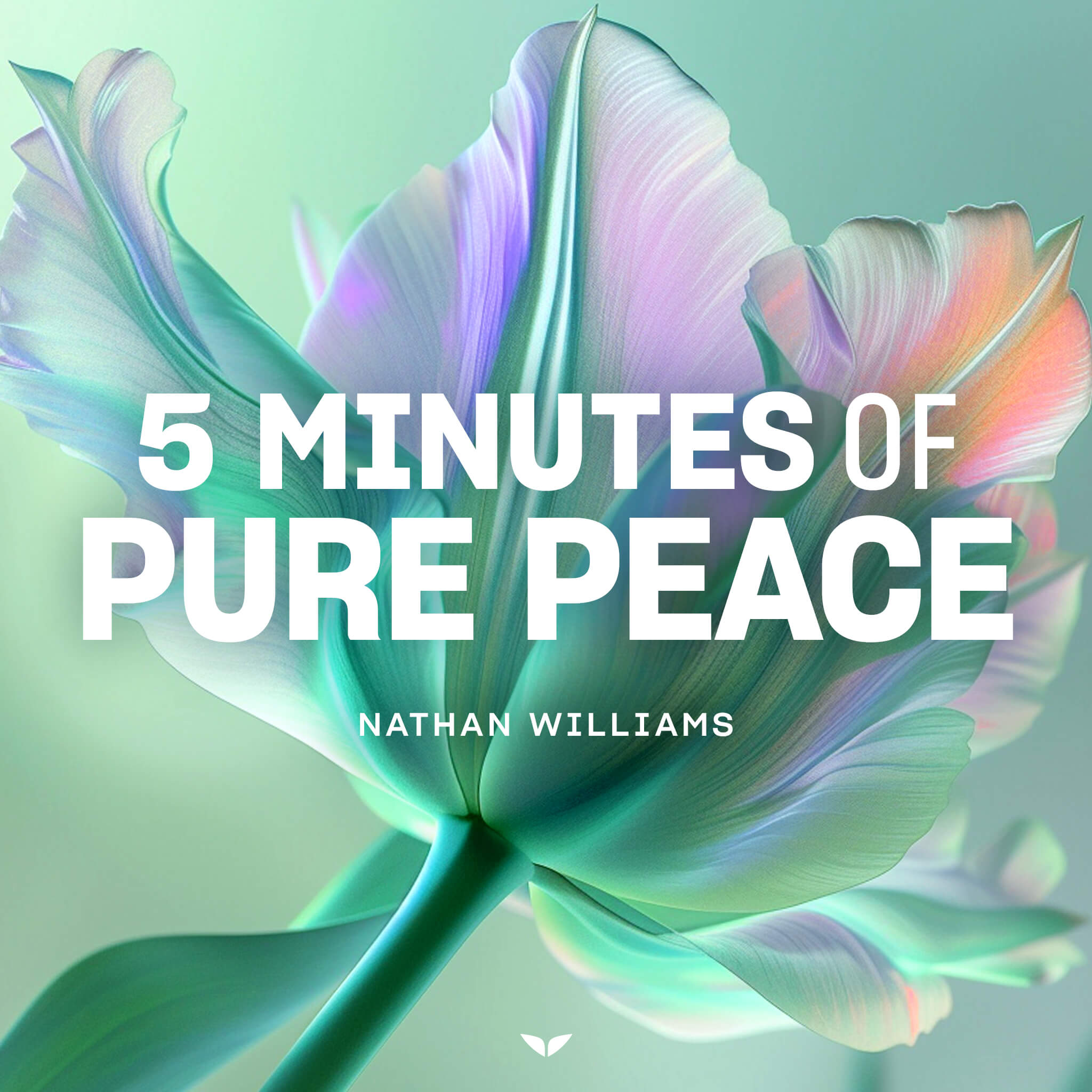 5 Minutes of Pure Peace