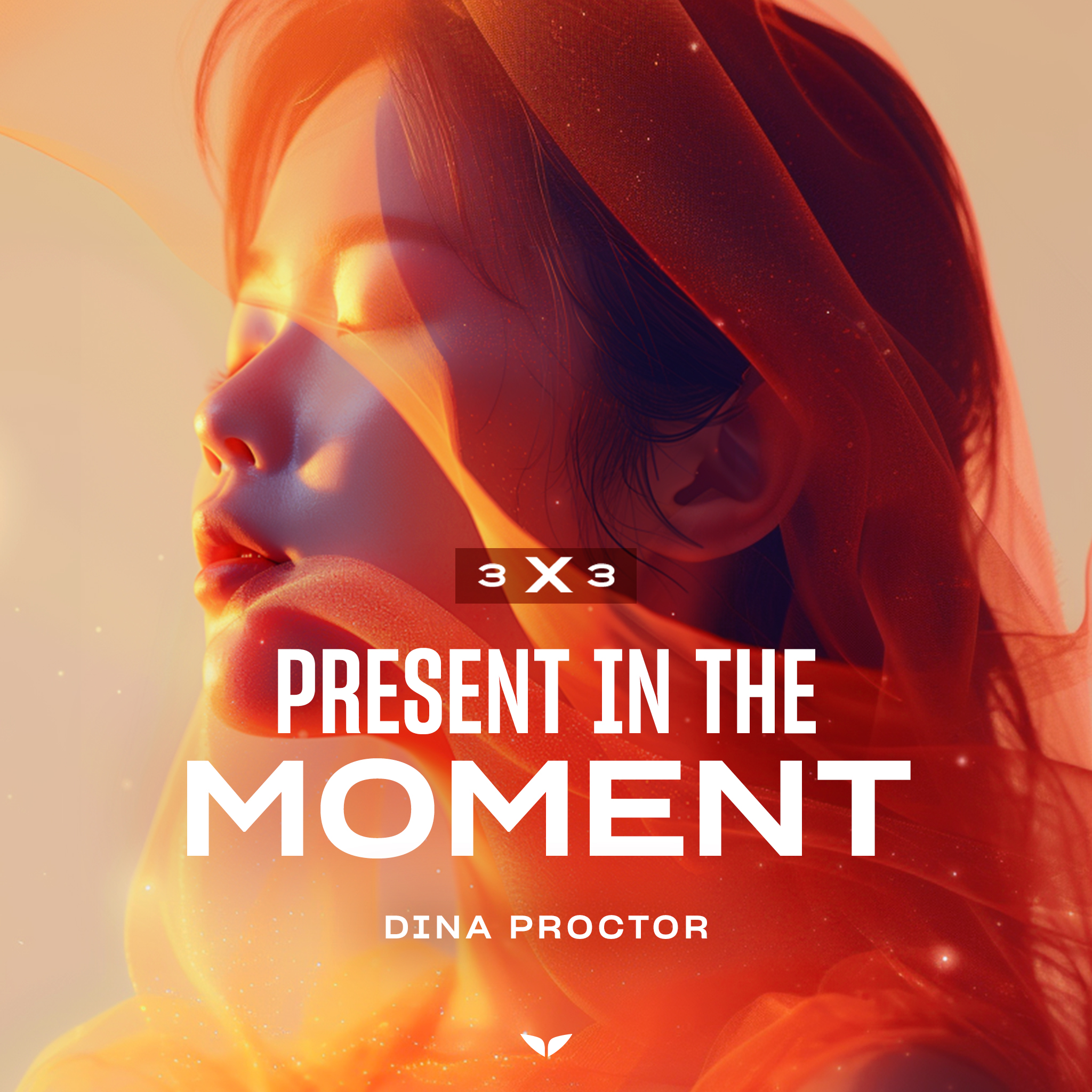 3x3 Present in the Moment