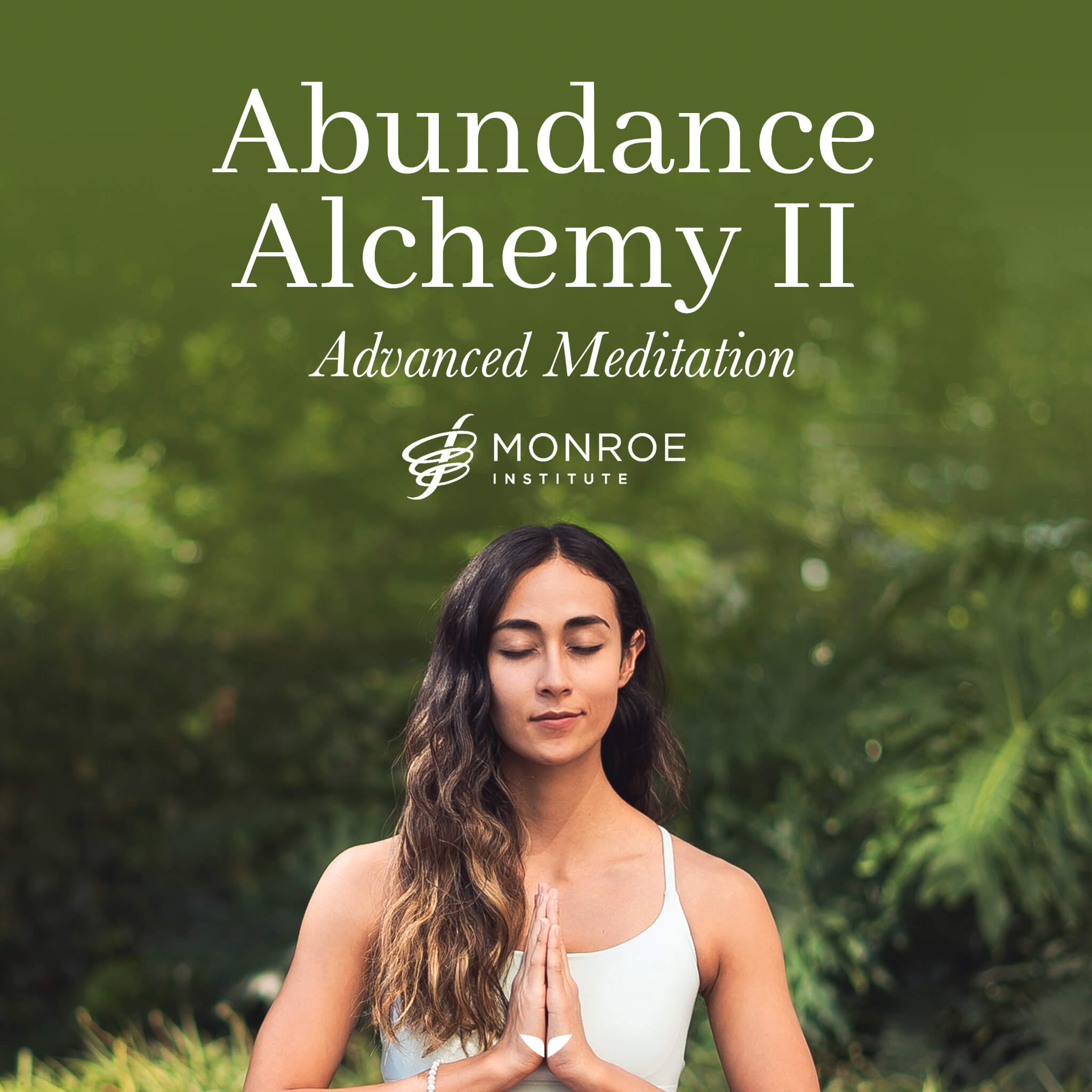 Abundance Alchemy II