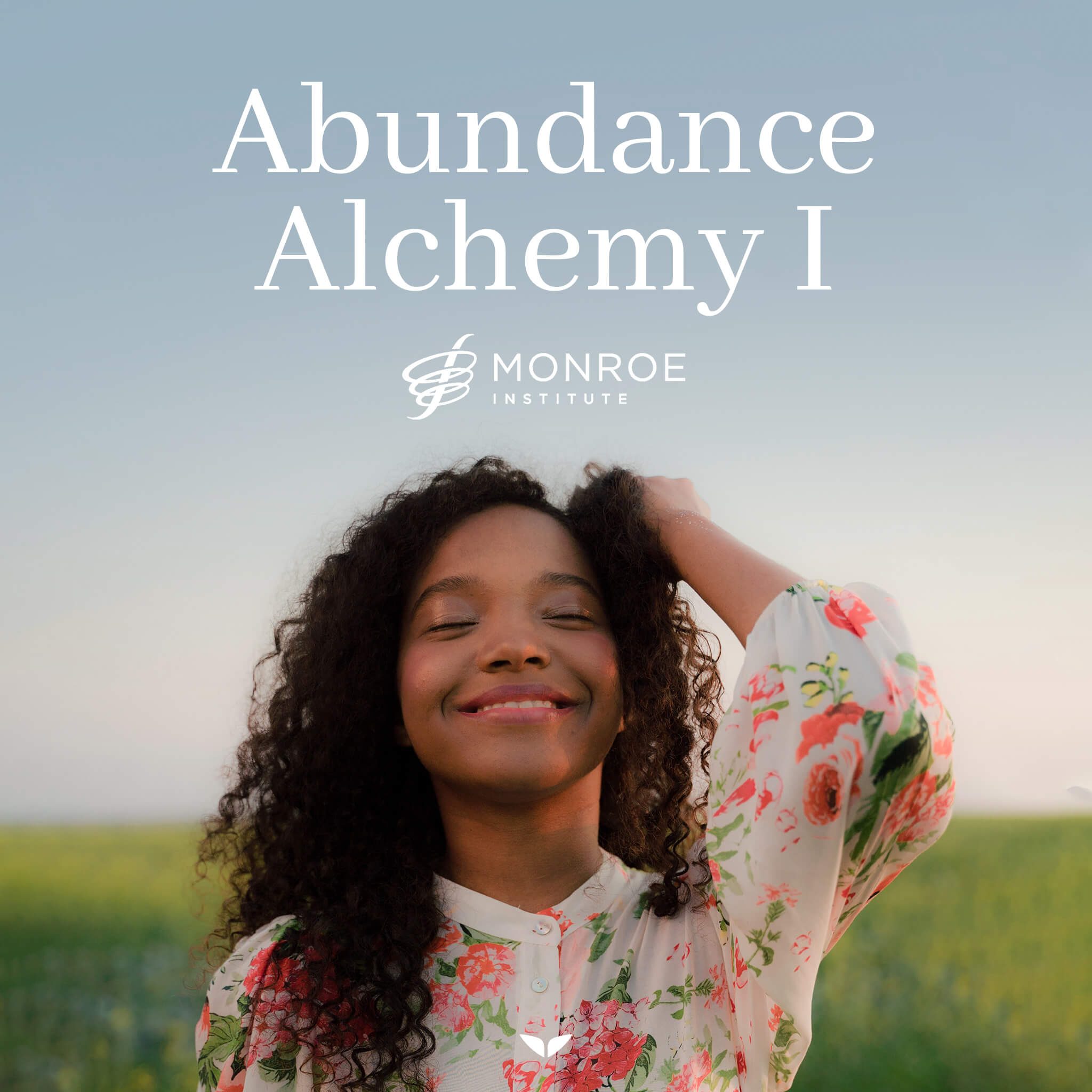 Abundance Alchemy I