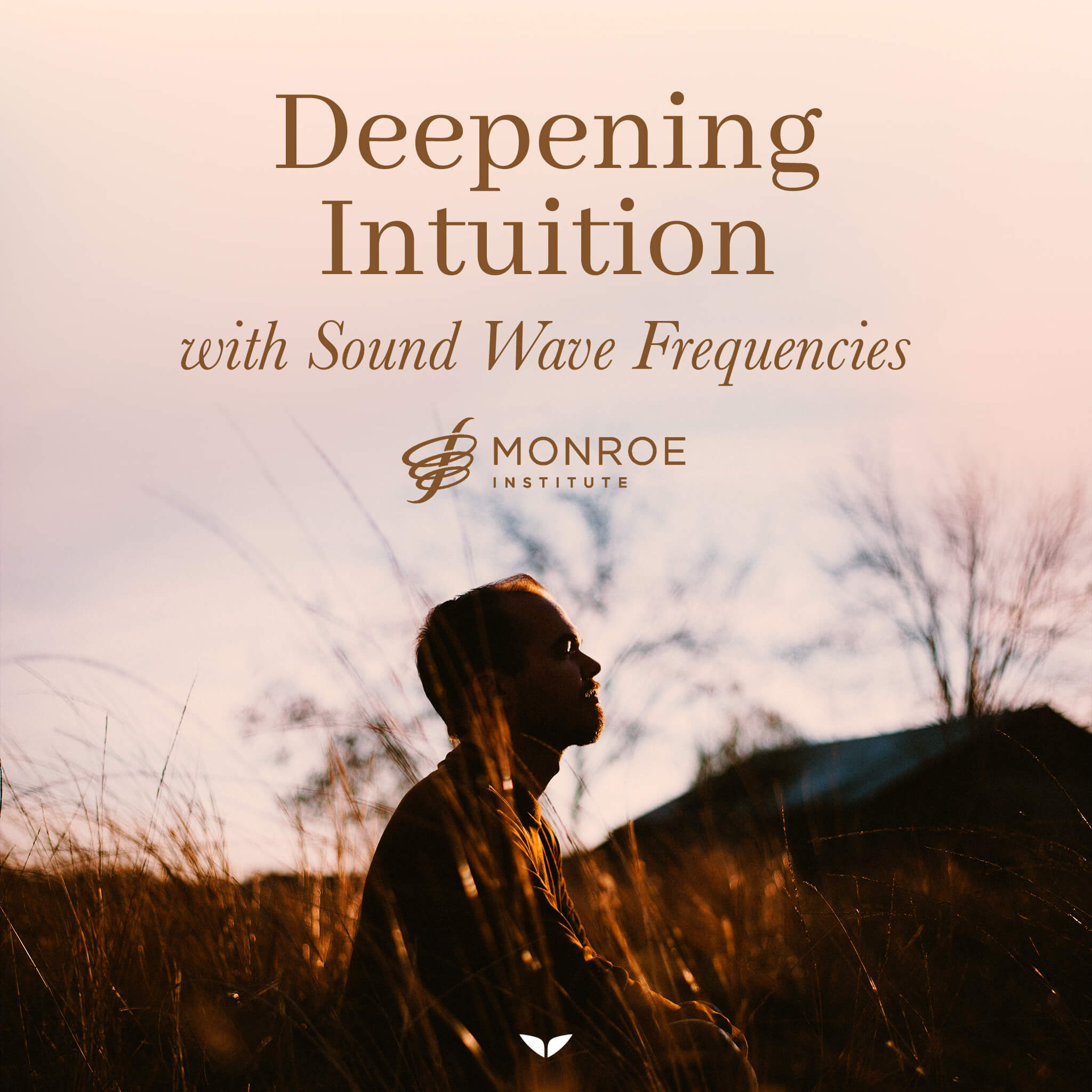 Deepening Intuition With Sound Wave Frequencies