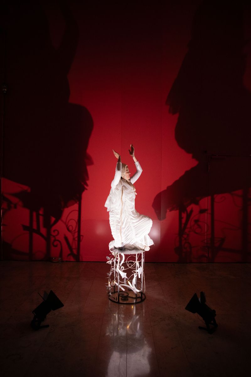 weronika-wysocka-dark-brightness-and-bright-darkness