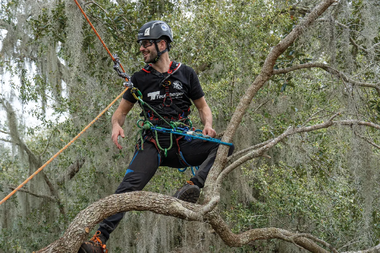 Treecare ambassador secured in tree with hipSTAR Glide Lanyard and treeMOTION harnesses