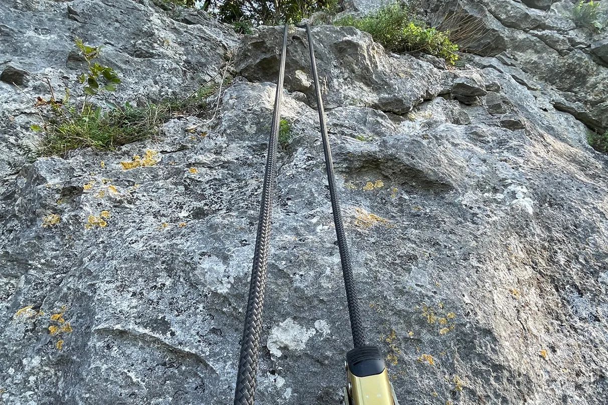 Two climbing ropes hang down a rugged rock face with patches of moss and small plants growing in crevices.