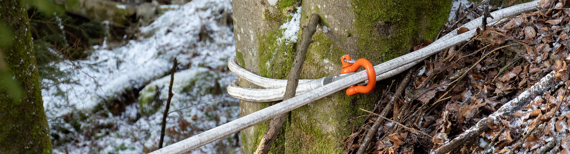 Forestry