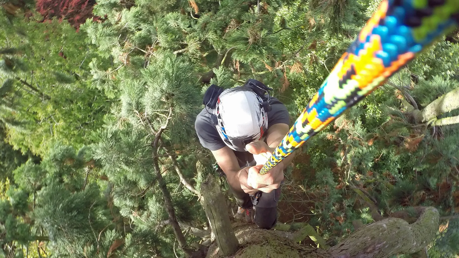 Treeclimbing rope Xstatic in action