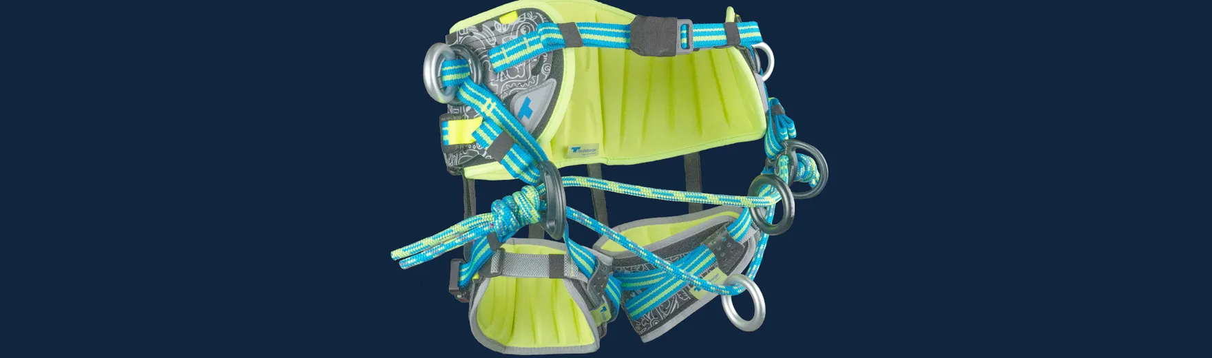 treeMOTION limited edition