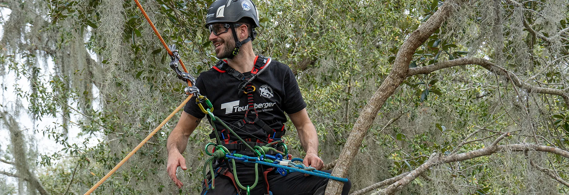 A person in safety gear is climbing a tree using ropes and harnesses, surrounded by greenery.