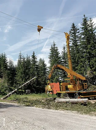Logging operation with yellow cable machine in forest – efficient forestry technology using rope and crane systems.